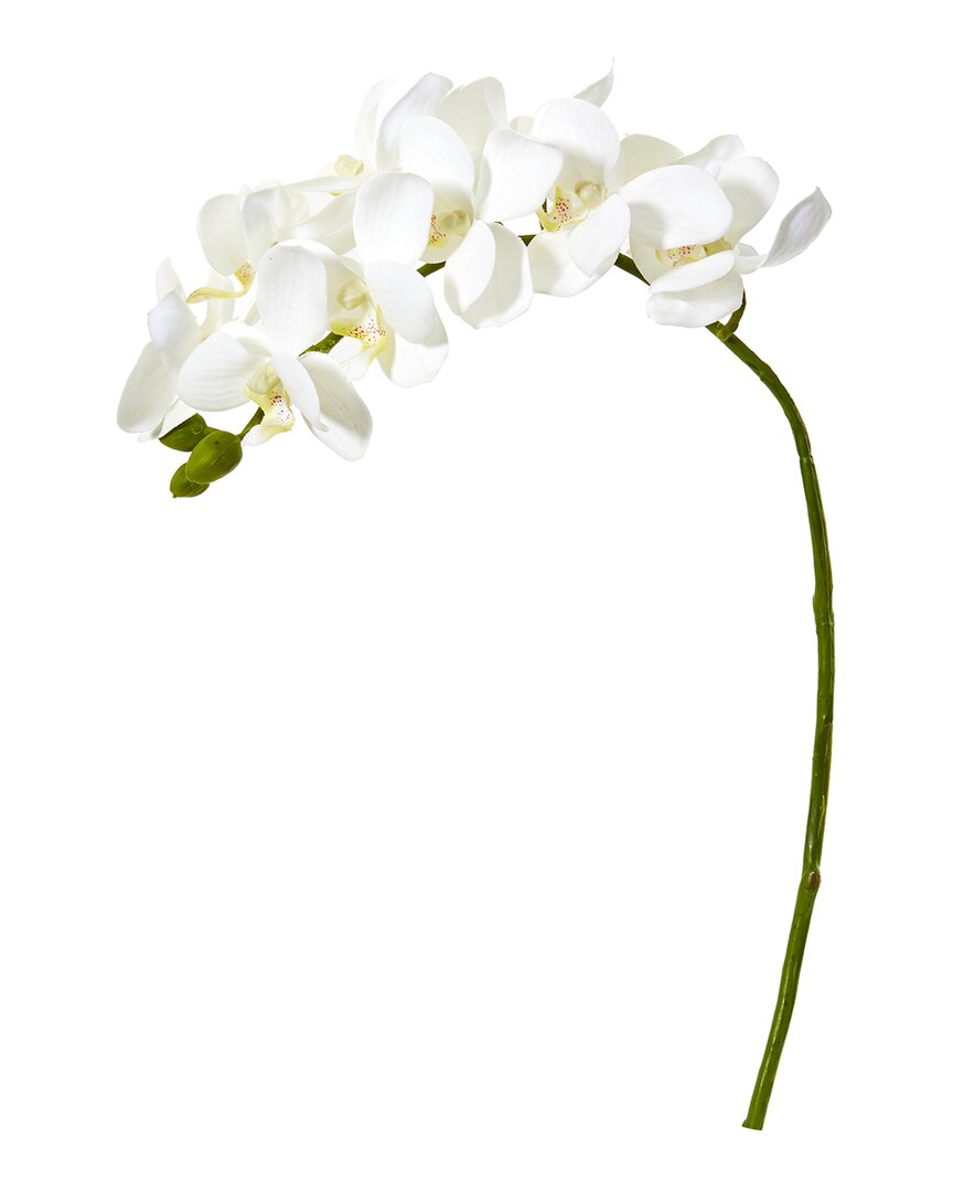 NEARLY NATURAL NEARLY NATURAL SET OF 6 21IN PHALAENOPSIS ORCHID ARTIFICIAL FLOWER 