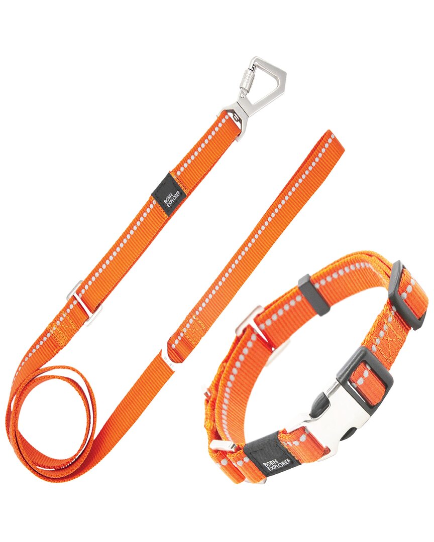 Pet Life Advent Outdoor Series 3m Reflective 2 I In Orange