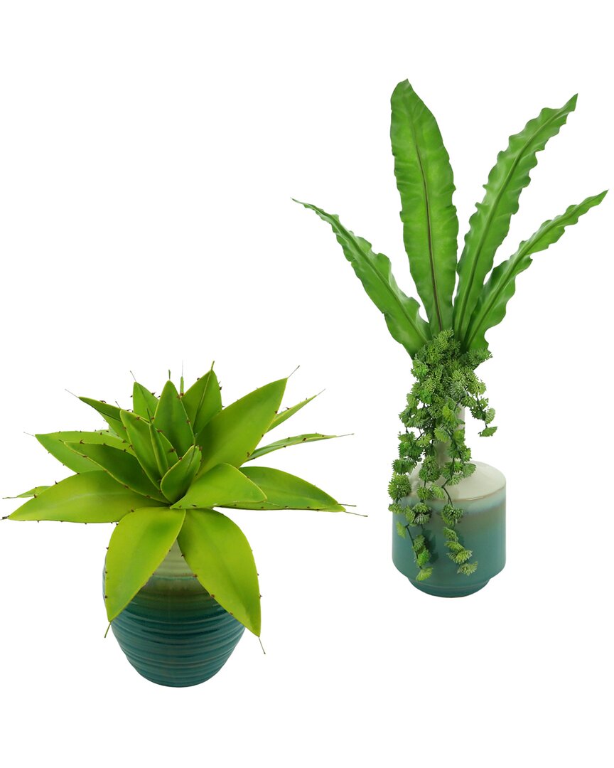 Creative Displays Discontinued  Plant & Succulent Set In Green