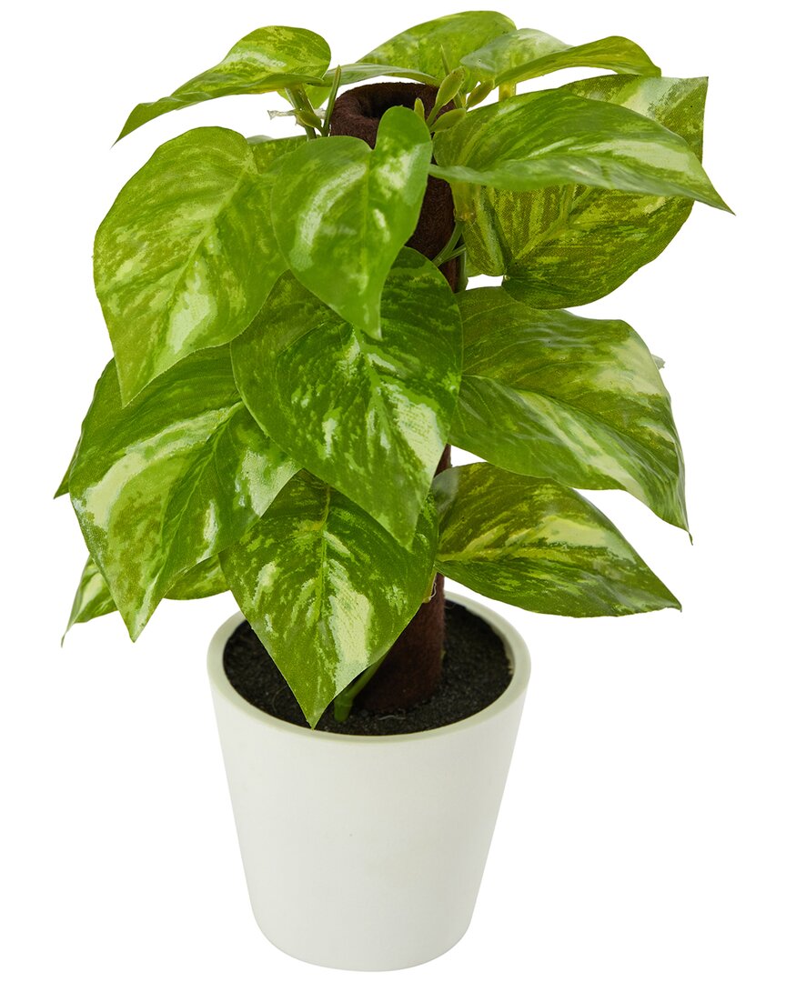 Nearly Natural 9in Pothos Artificial Plant In White Planter (real Touch) In Green