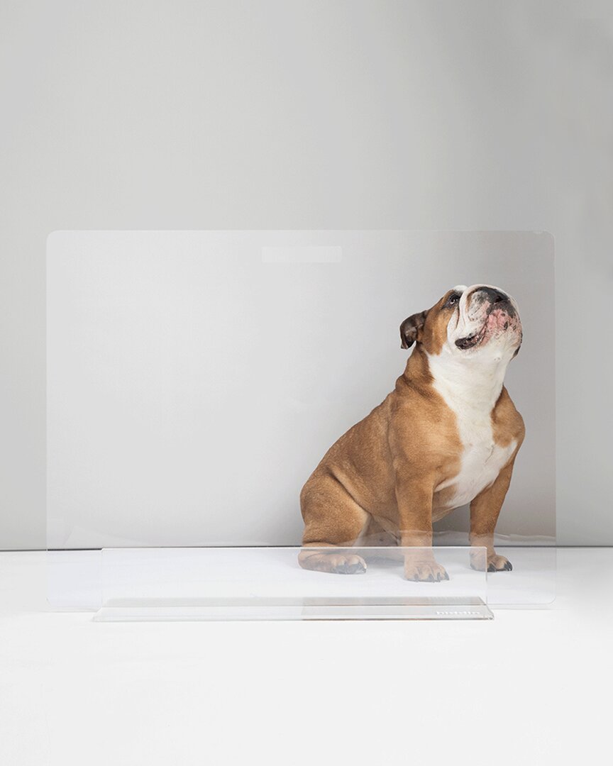 Hiddin Low 36in Pet Gate Panel
