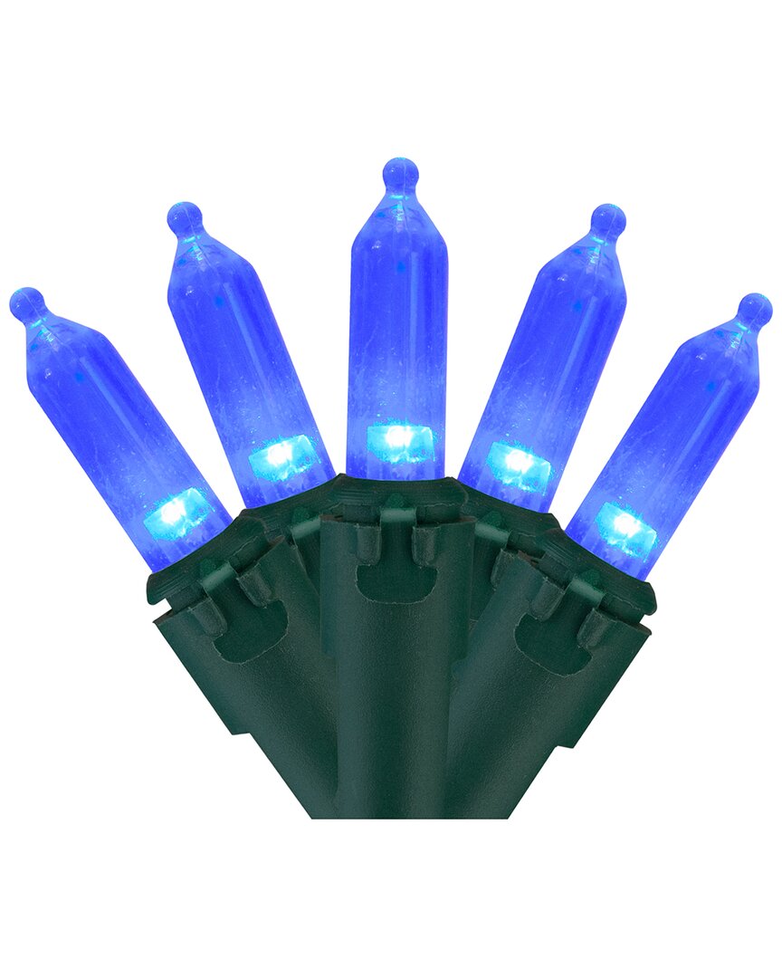 Northlight 100 Blue Led Mini Christmas Lights In Blue