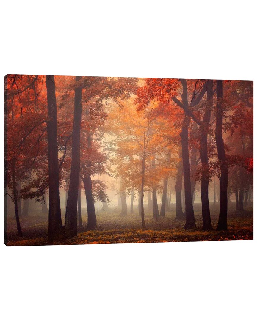 Icanvas Feel By Ildiko Neer Wall Art