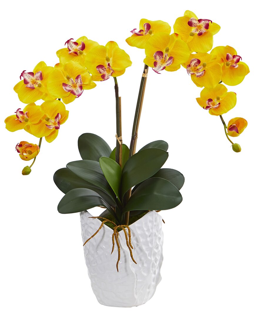 NEARLY NATURAL NEARLY NATURAL DOUBLE PHALAENOPSIS ORCHID ARTIFICIAL ARRANGEMENT IN WHITE CERAMIC VASE 