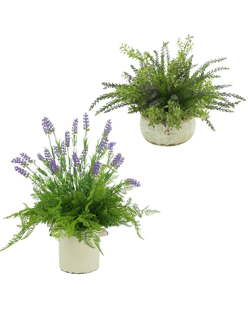 Creative Displays Discontinued  Cedar & Lavender Bush Set In Green