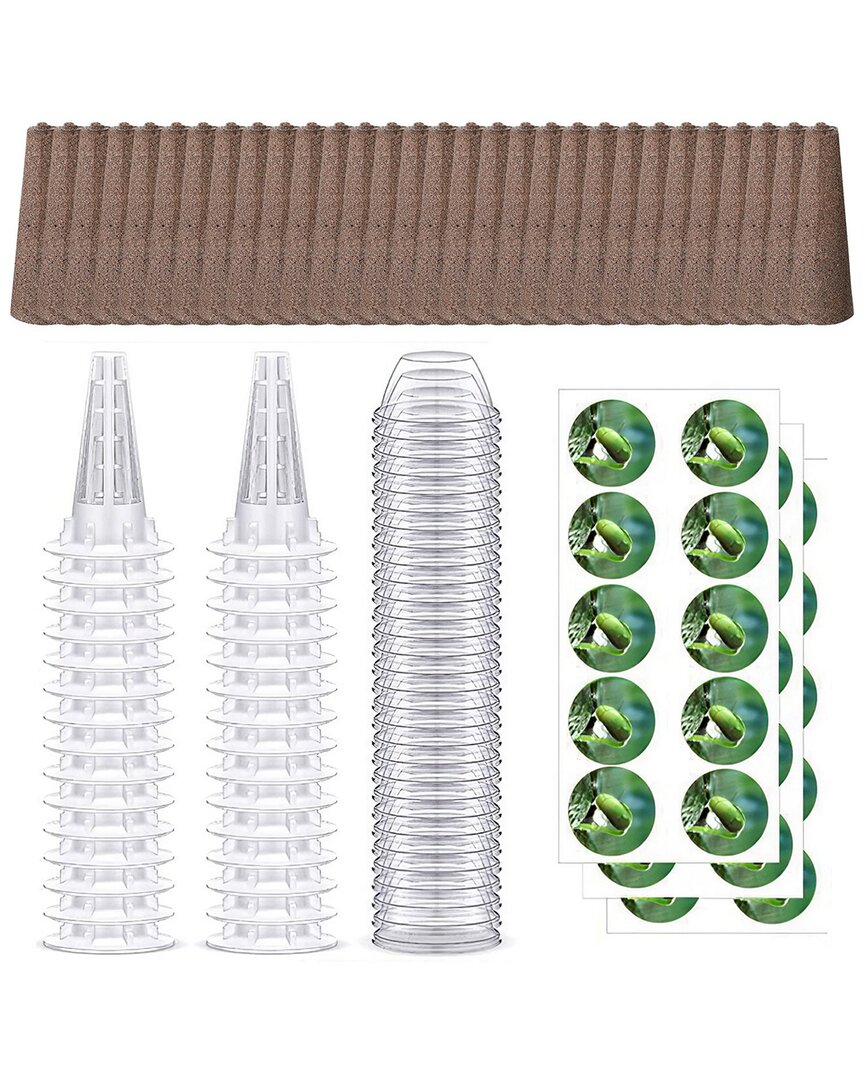 Fresh Fab Finds 120pc Seed Pod Kit