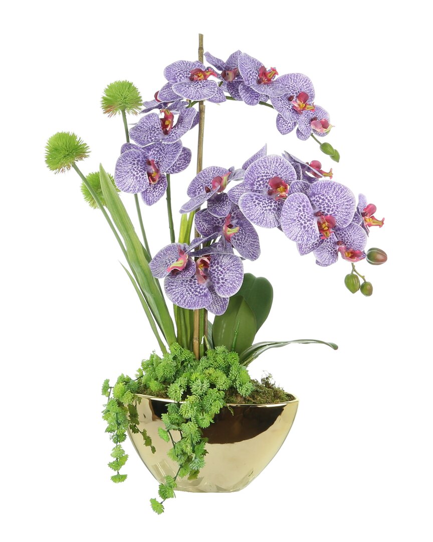 Creative Displays Purple Orchid With Allium Floral Arrangement