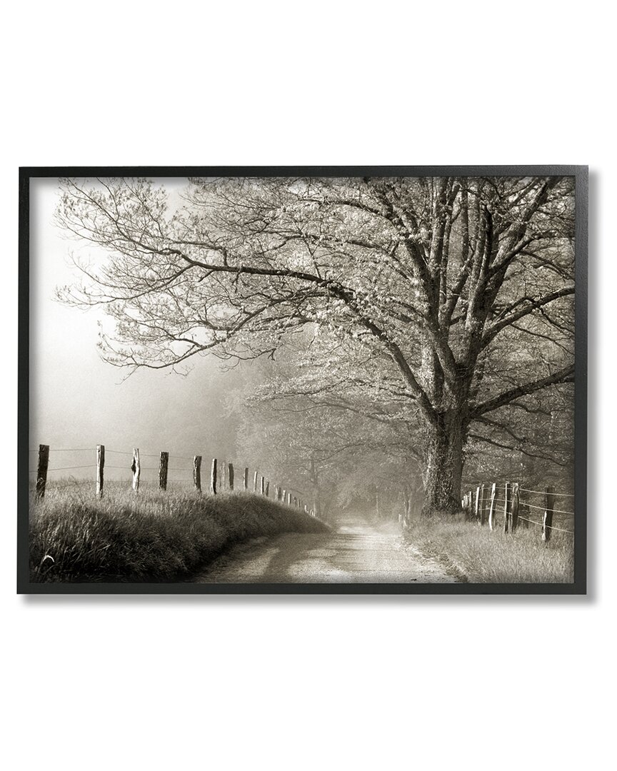 Shop Stupell Rural Scenery Fenced Path Framed Giclee Wall Art By Danita Delimont