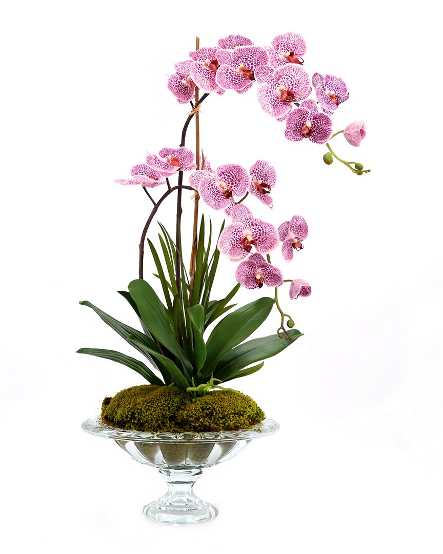 Creative Displays Lavender Orchid Floral Arrangement In Multi