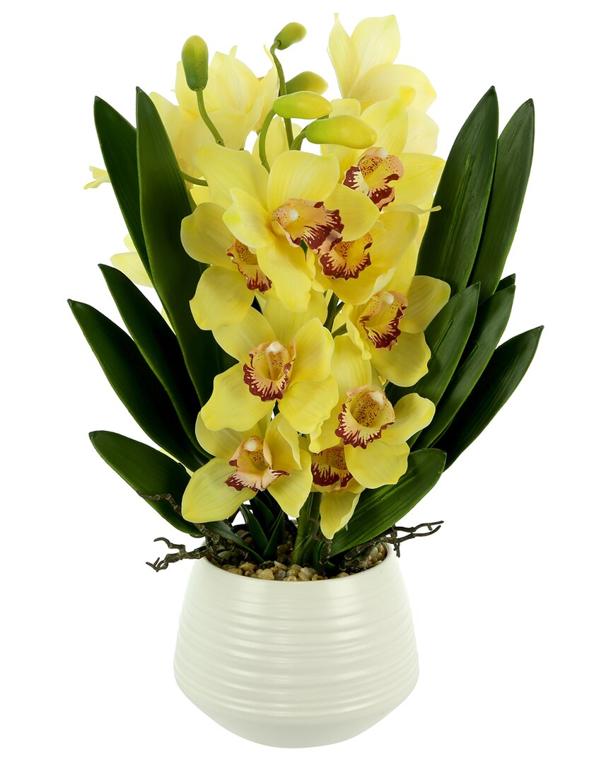 Shop Creative Displays Yellow Orchid Arrangement In White Ceramic Pot