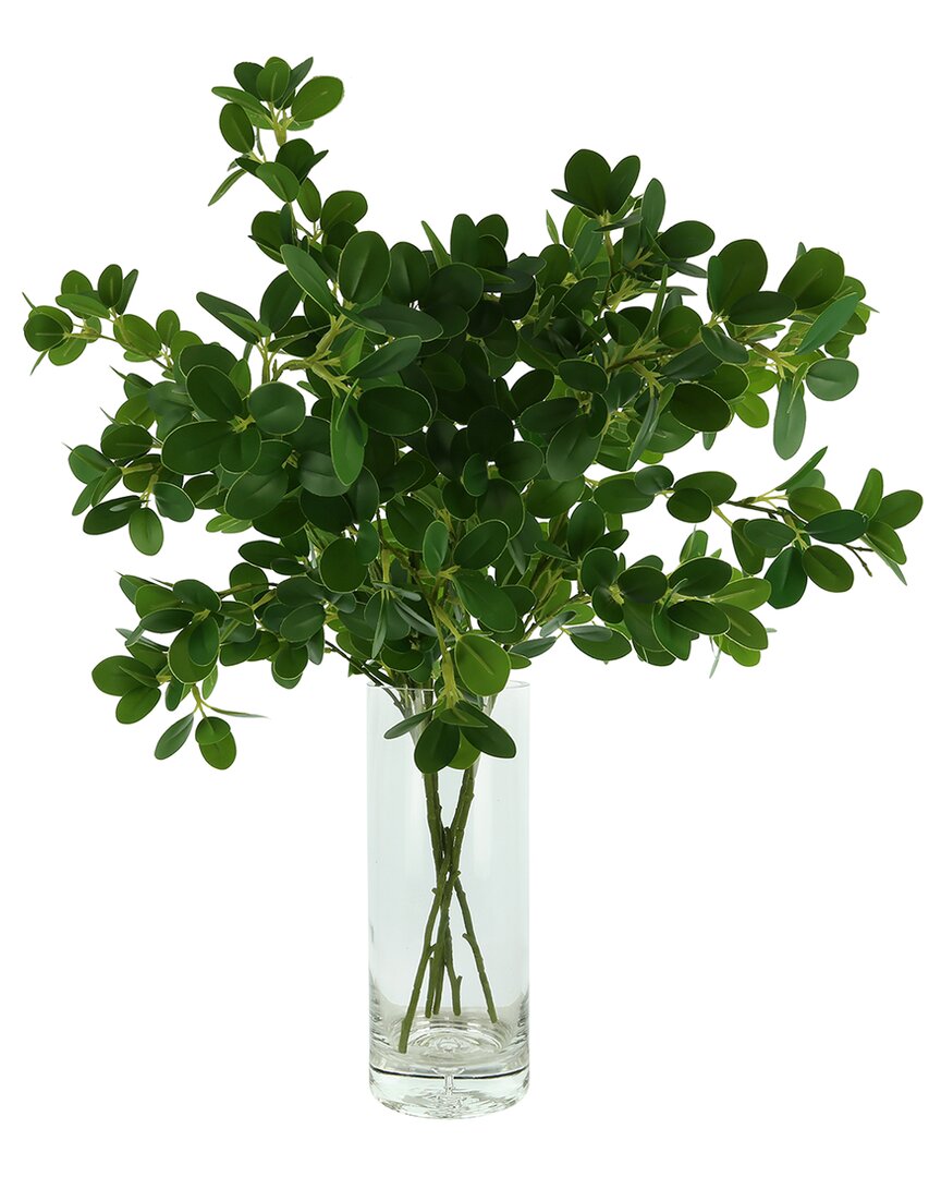 Shop Creative Displays Organic Modern Boxwood Spray Arranged In Glass Vase In Green