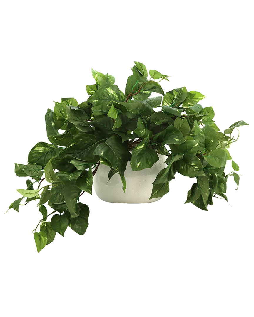 Shop Creative Displays Pothos Plant In Ceramic Pot In Green
