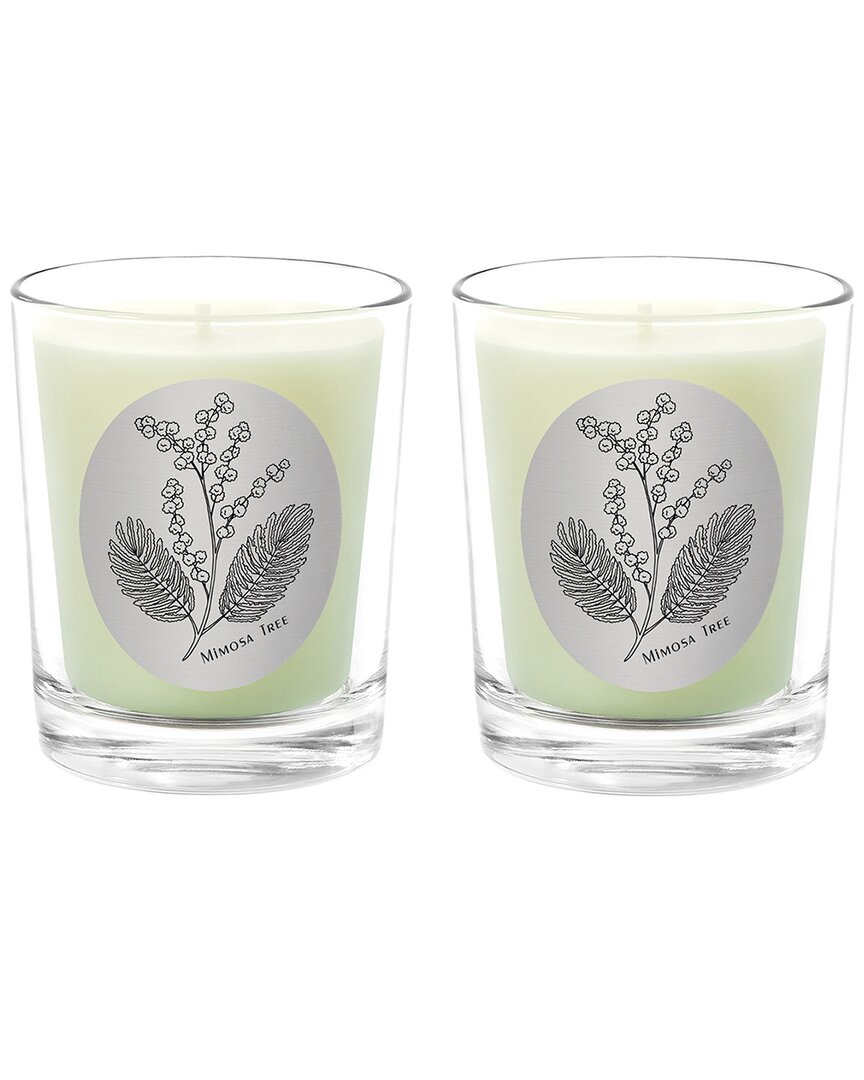 Qualitas Mimosa Tree Two Scented Beeswax Candle Set In White
