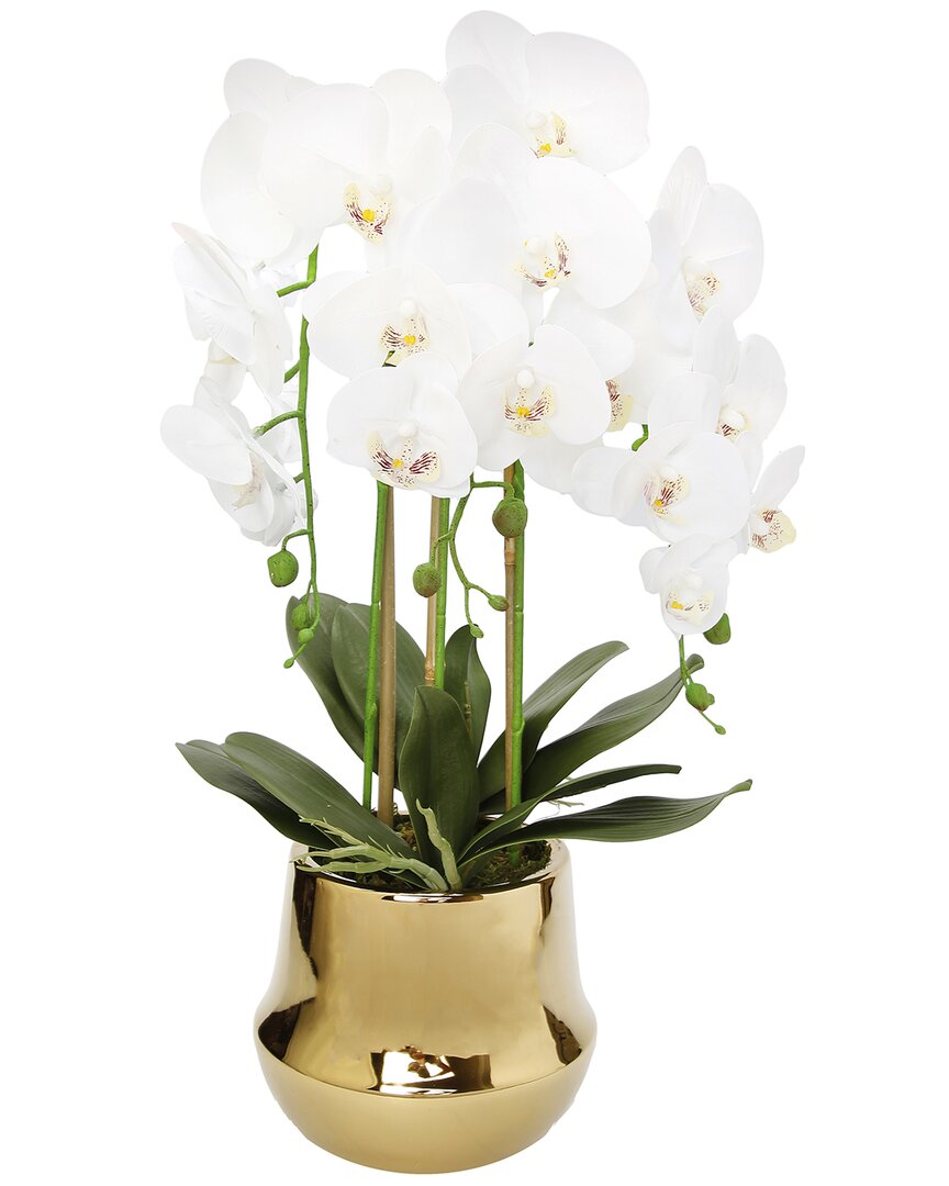 Vivience White Orchid Plant In Round Shiny Gold Pot