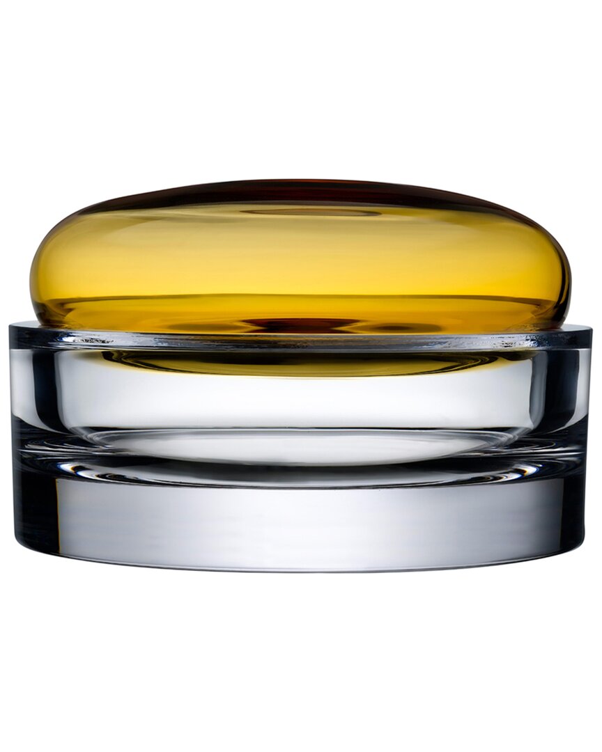 Nude Glass Ecrin Medium Glass Lidded Vessel Storage Box In Amber