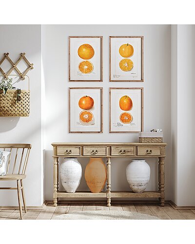 Napa Home & Garden Citrus Study - Thumbnail 3