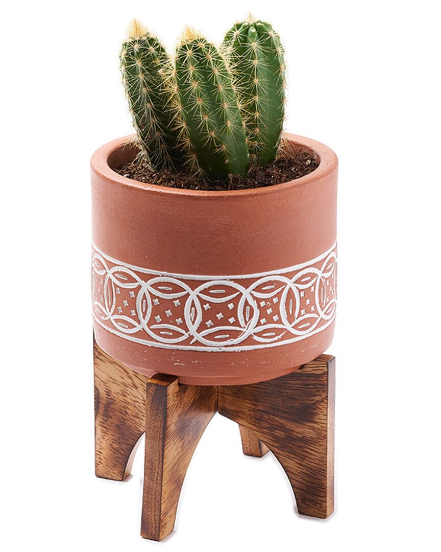 Matr Boomie Daksha Large Terracotta Plant Pot With Wood Stand