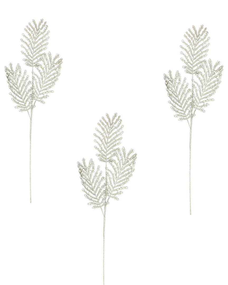 Creative Displays Set Of 3 Peacock Holiday Spruce In Silver