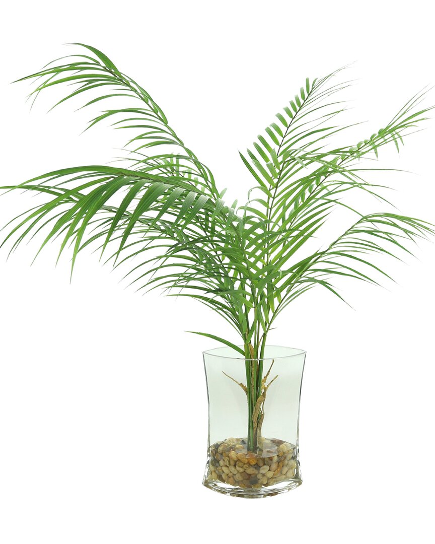 Creative Displays Areca Palm In Vase With Rocks & Acrylic Water In Green
