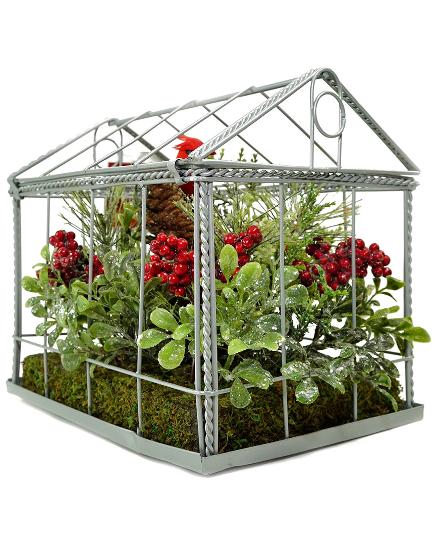 Shop Northlight 9in Red Cardinal Boxwood & Berry Artificial Christmas Greenhouse Arrangement