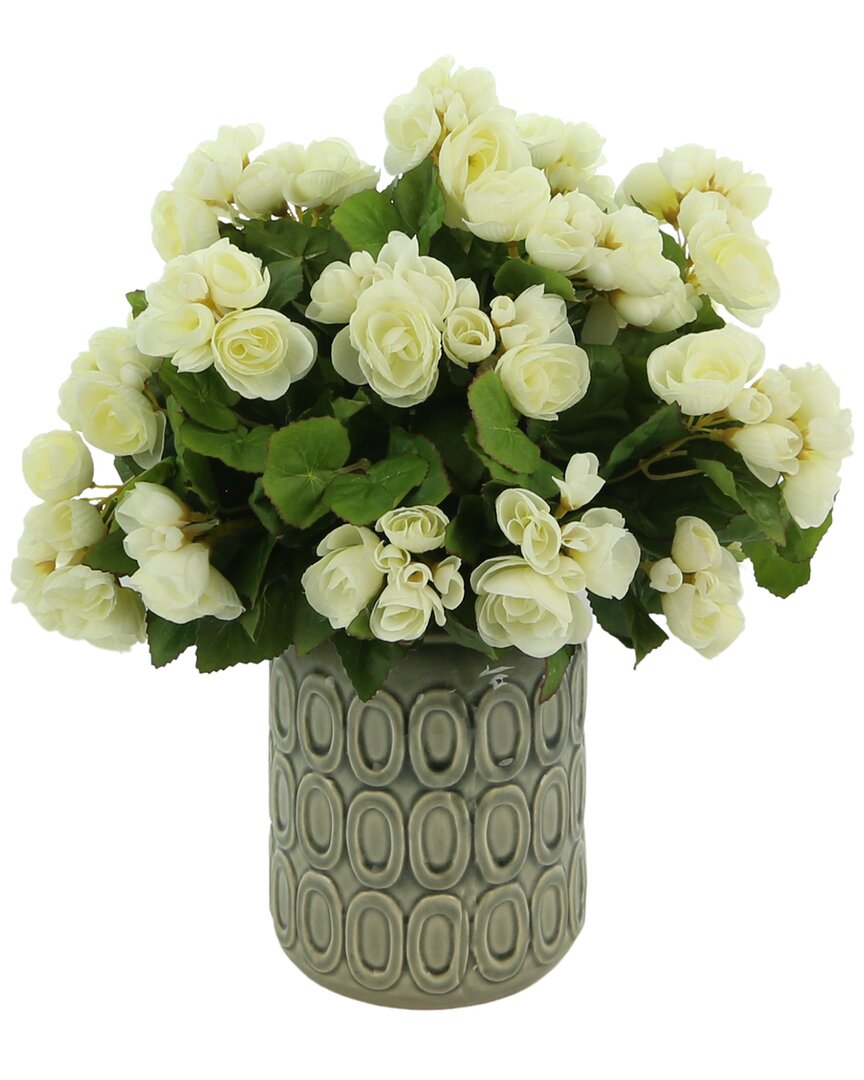 Creative Displays Traditional White Begonia Floral Arrangement