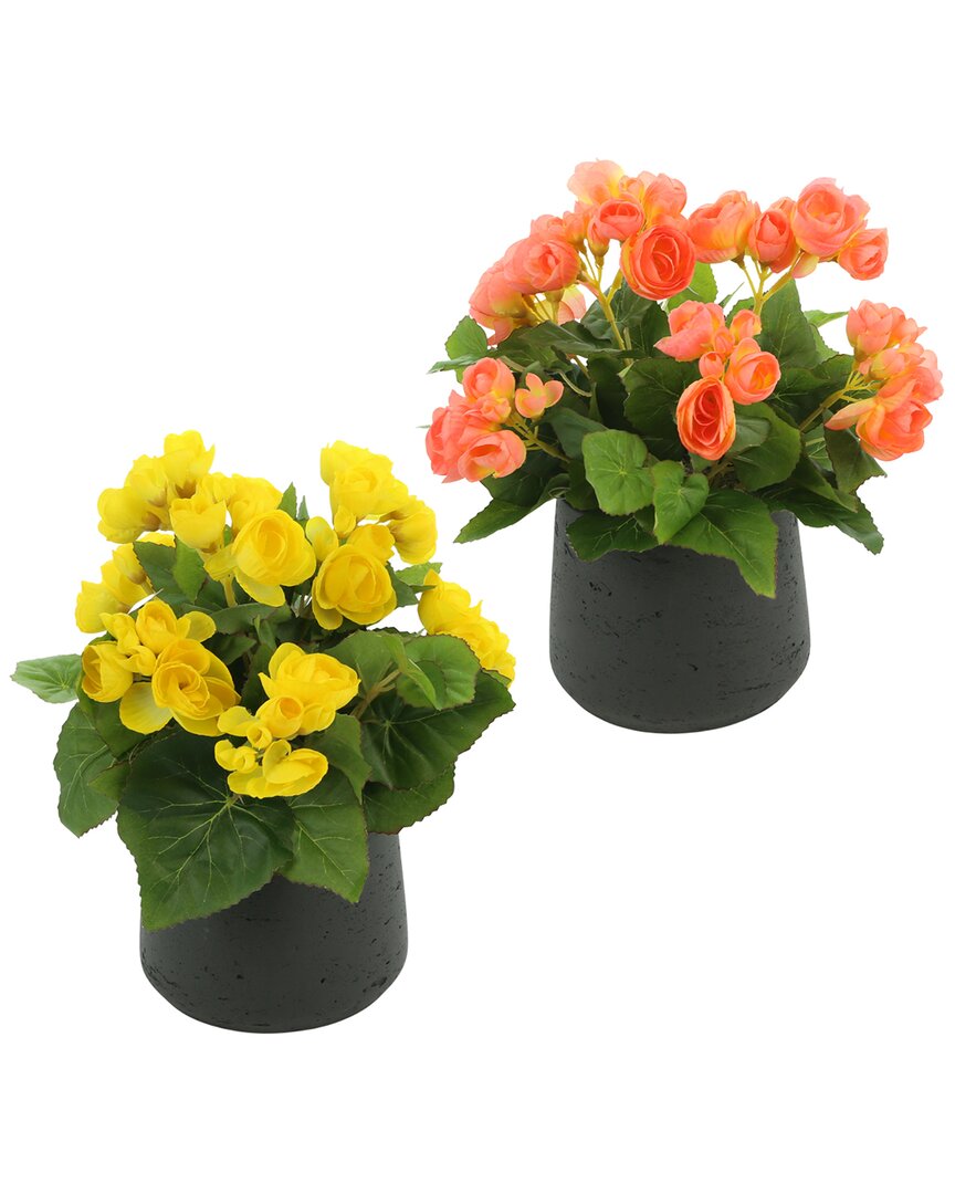 Creative Displays Discontinued  Yellow & Peach Floral Set In Black