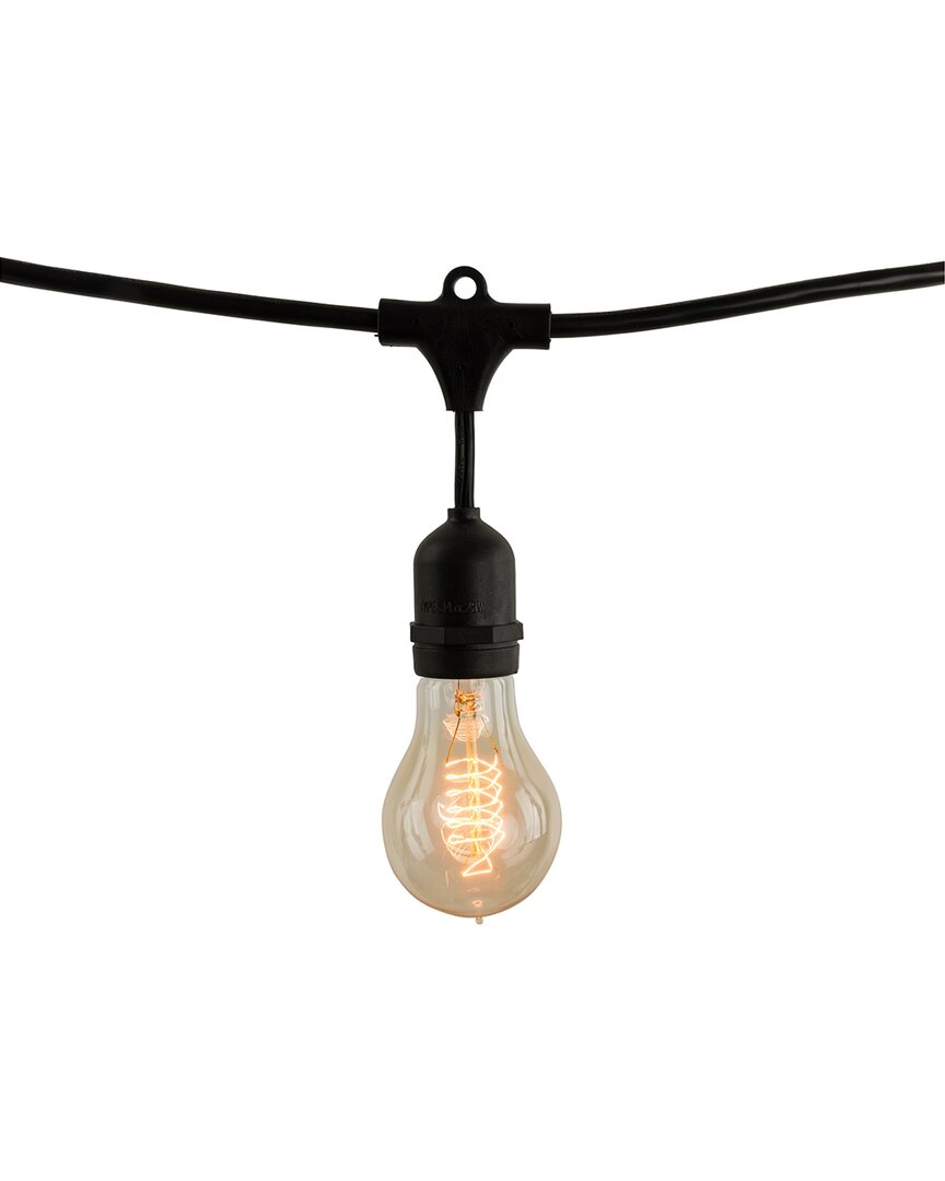 Bulbrite 48ft String Light Kit With Nostalgic Loop Filament A19 Light Bulbs, 2pk In Black