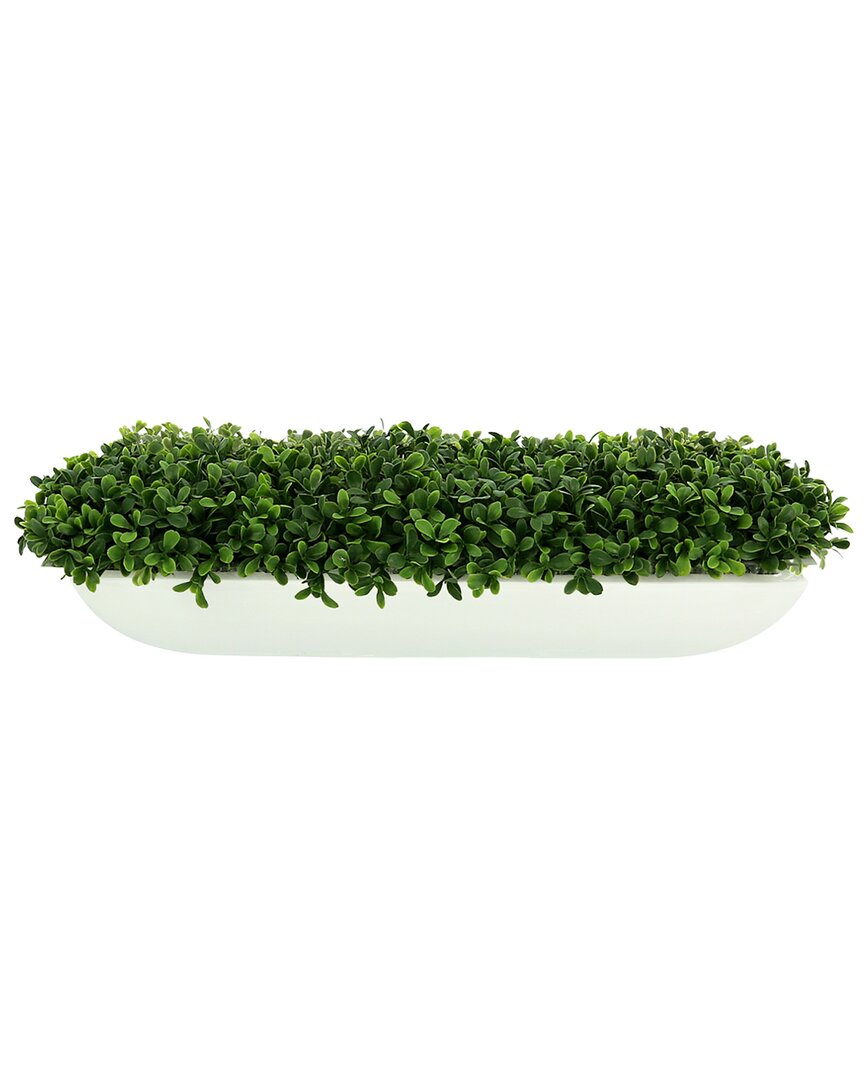 Creative Displays Boxwood Arrangement In White Glossy Fiberstone Planter In Green