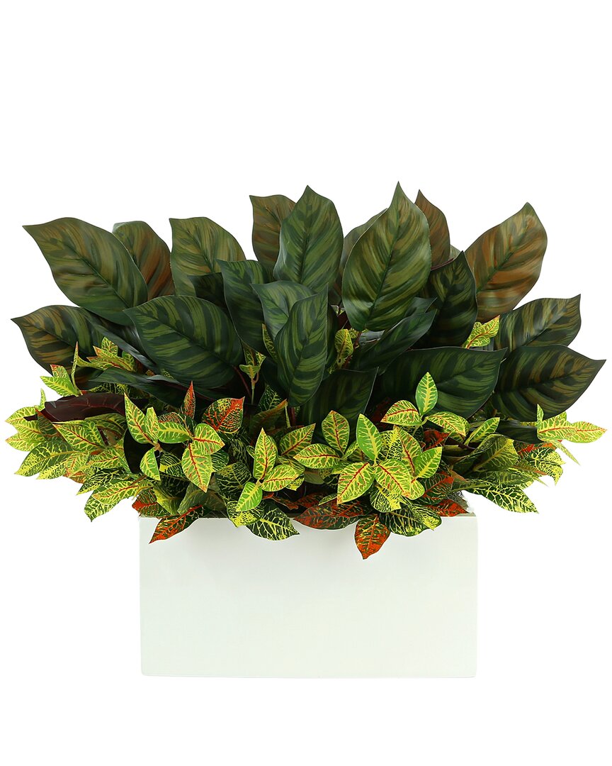 Shop Creative Displays Uv-rated Outdoor Aglaonema And Croton Arranged In White  Fiberstone Planter In Green