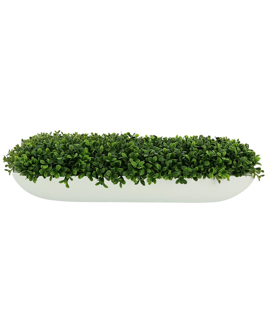 Creative Displays Boxwood Arrangement In White Glossy Fiberstone Planter In Green