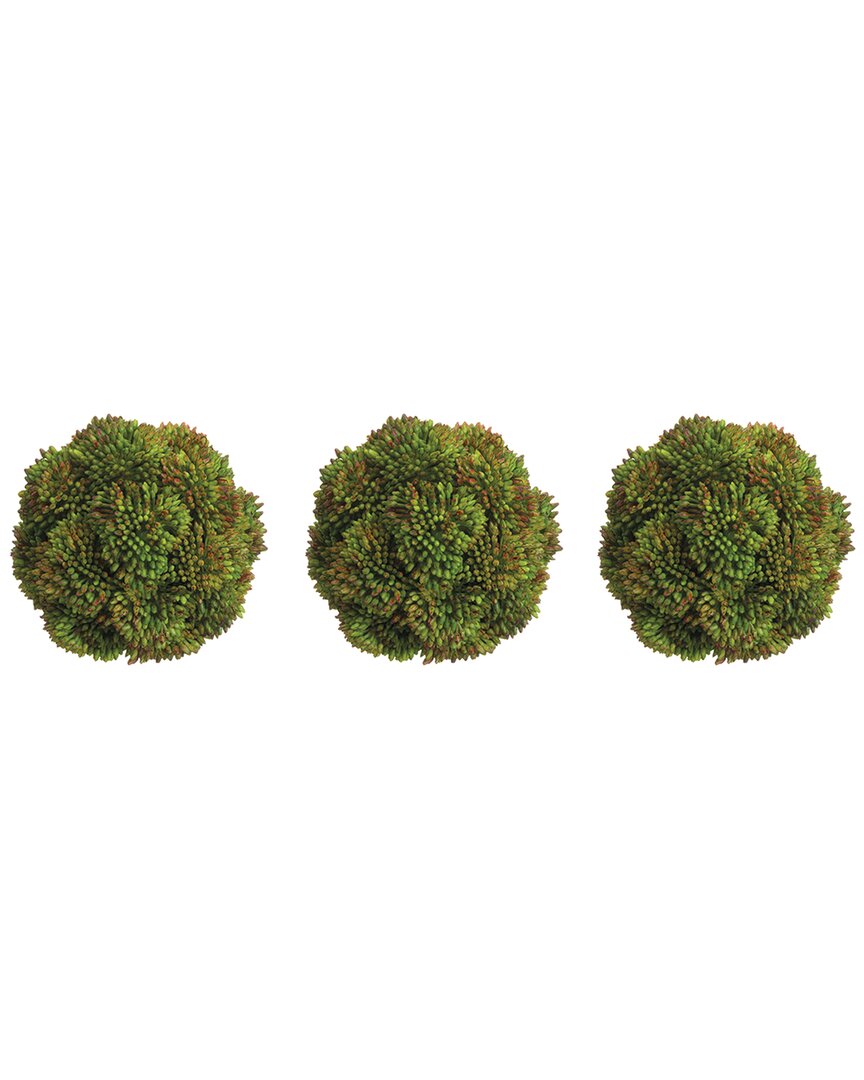 Shop Creative Displays Set Of 3 Decorative Green Sedum Balls