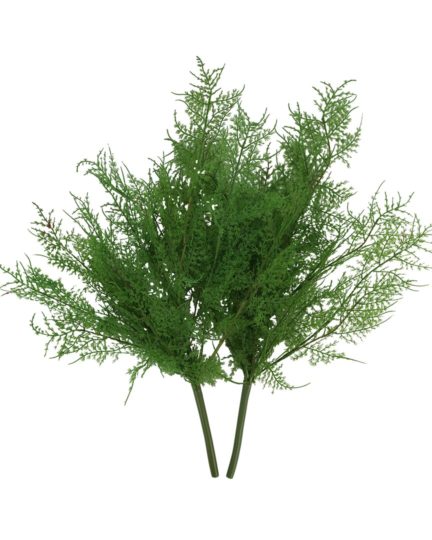 Creative Displays Green Asparagus Fern Stem In Green