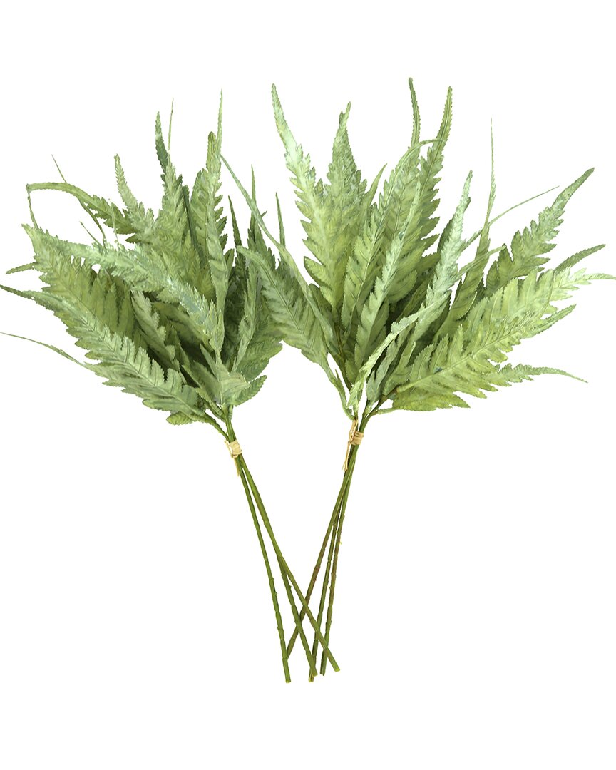 Creative Displays Green Fern Bundle In Green