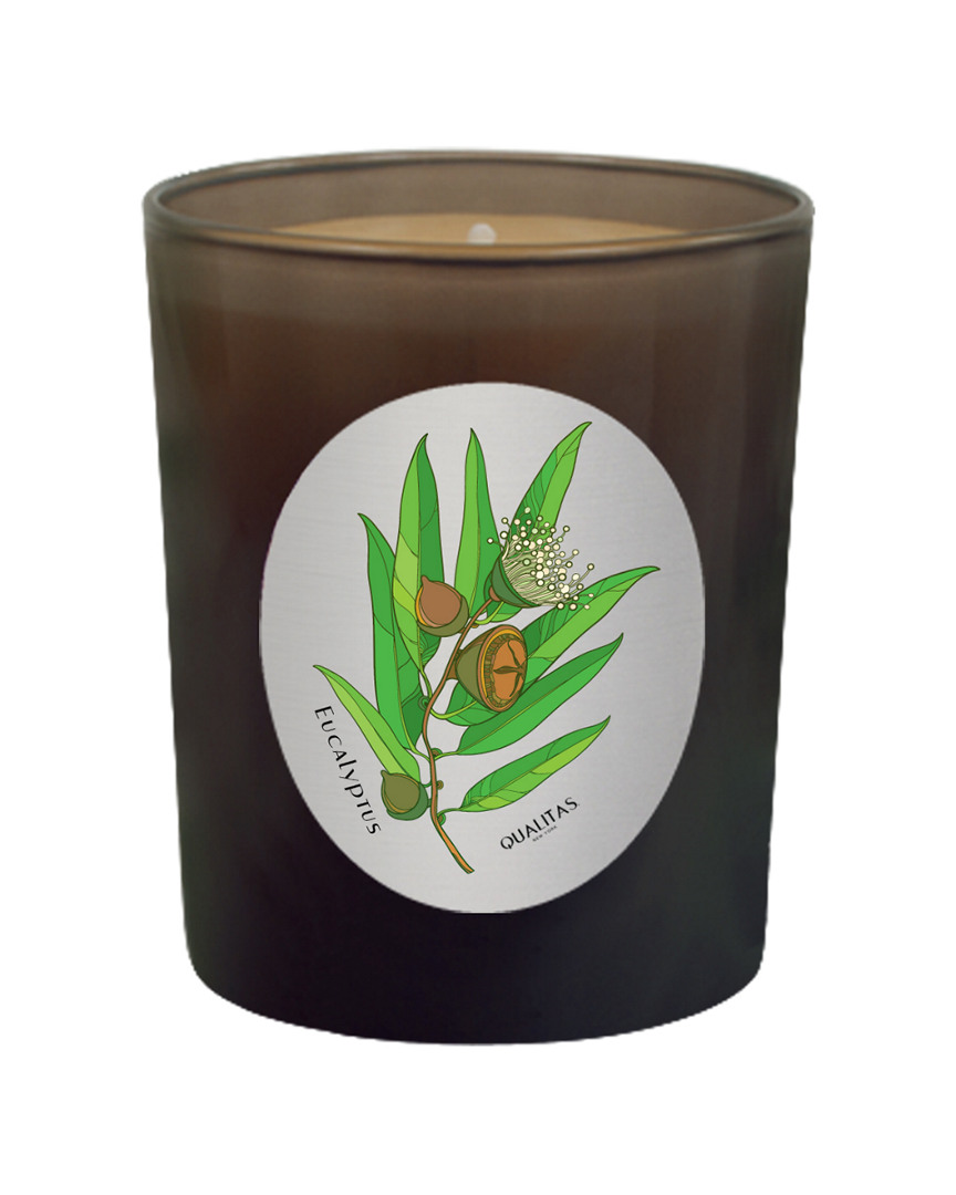 Qualitas Eucalyptus 6.5oz Beeswax Candle