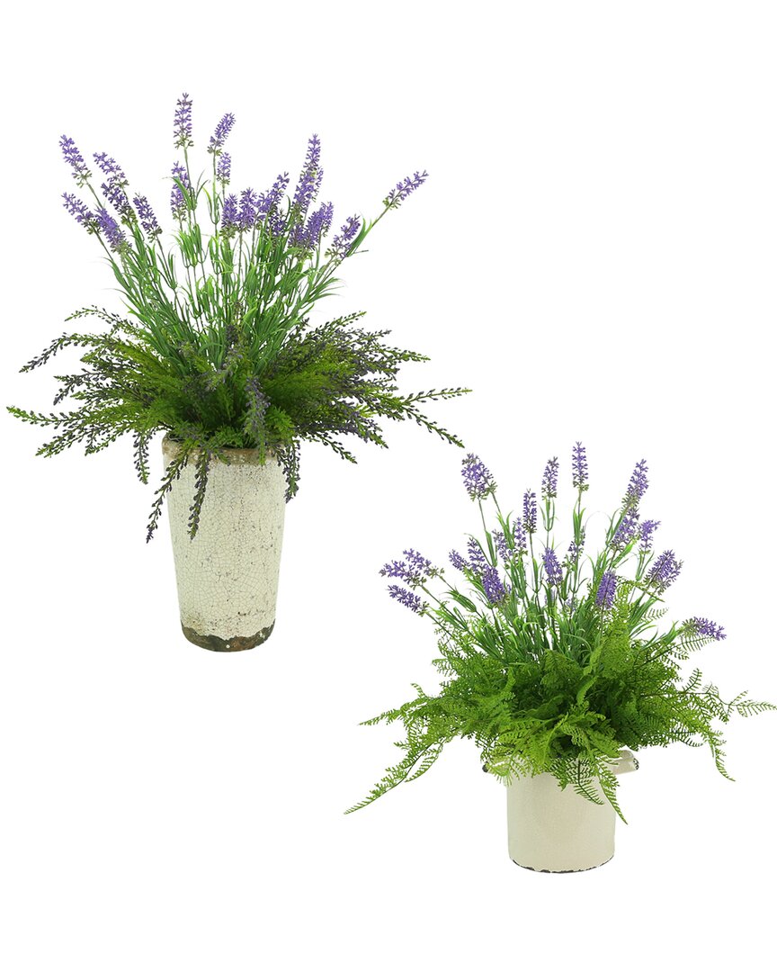 Creative Displays Lavender Bush Set In Green