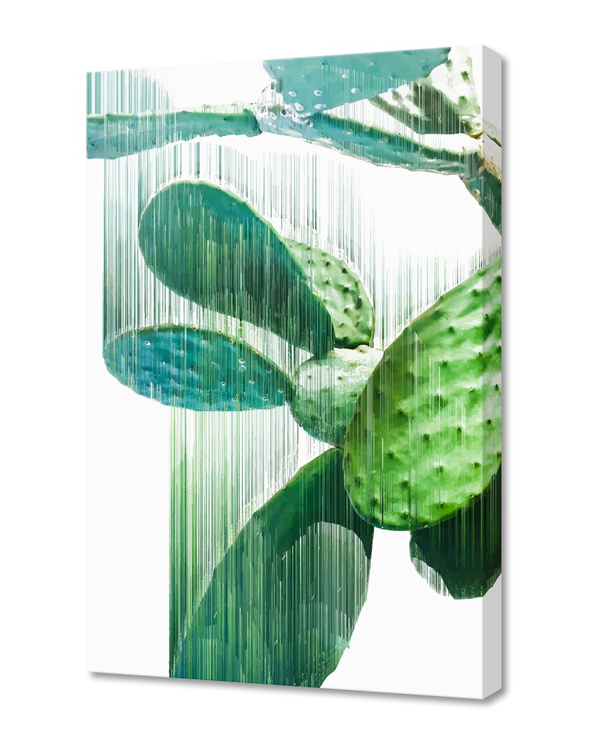 Curioos Faster Than The Speed Of Cactus By Adam Priester Wall Art