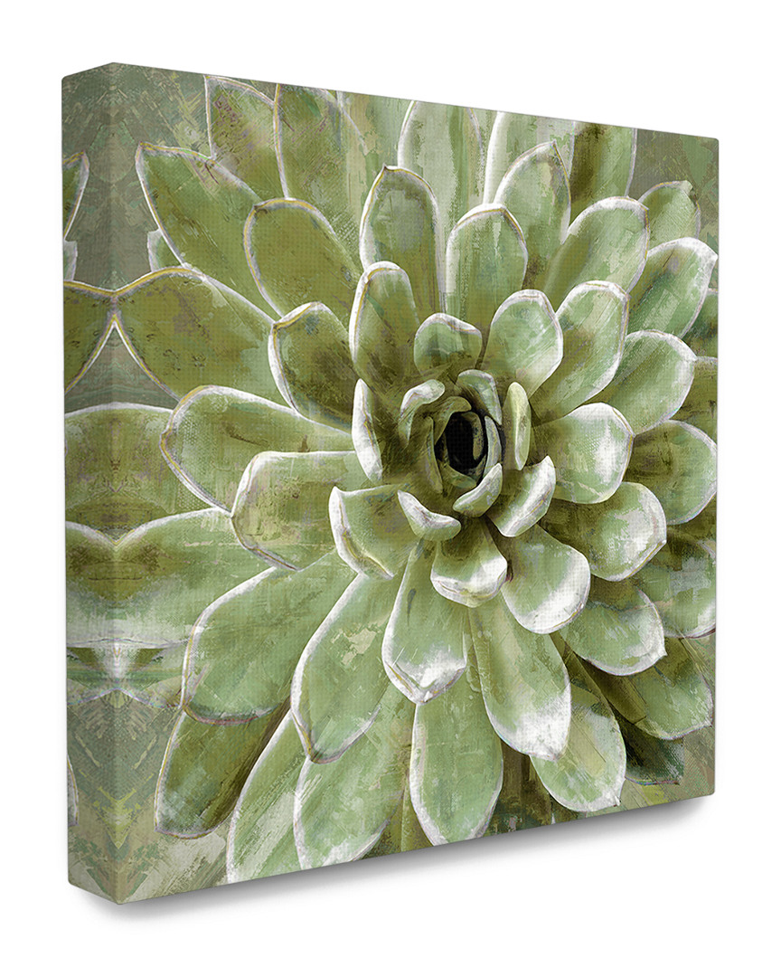 Stupell Home Decor Collection Green Painted Botanical Succulent Bloom