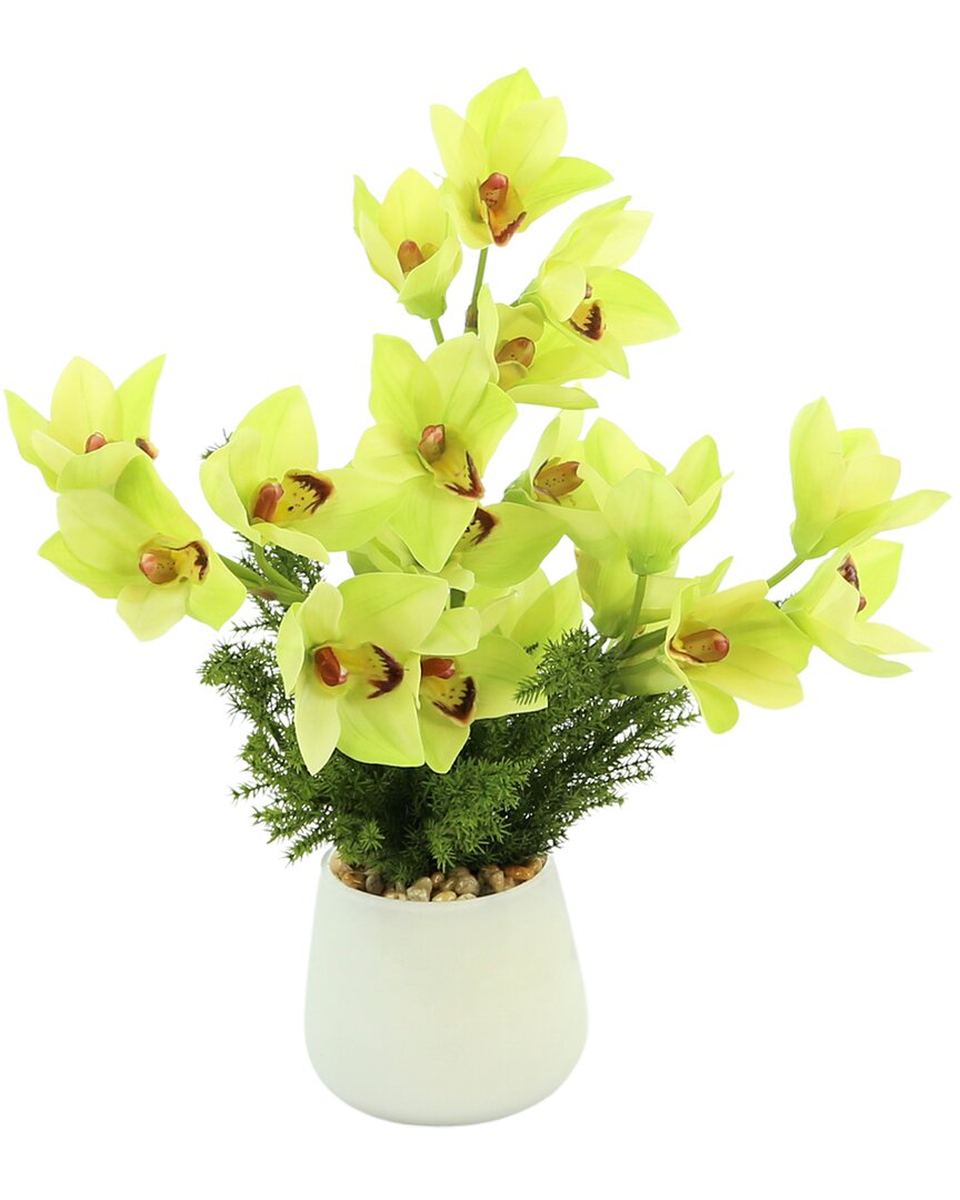 Creative Displays Green Orchid Floral Arrangement In Multi