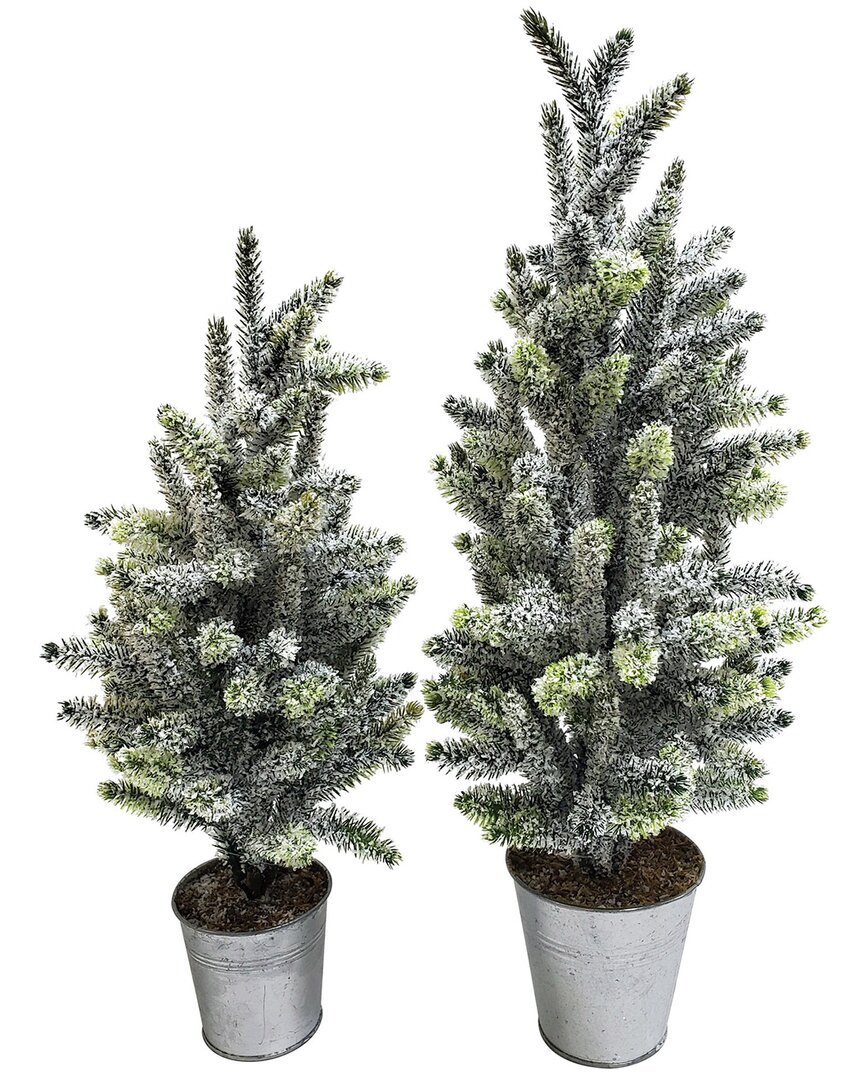 Transpac Artificial 20.87in Christmas Rustic Frosted Bucket Trees Set Of 2 In Green