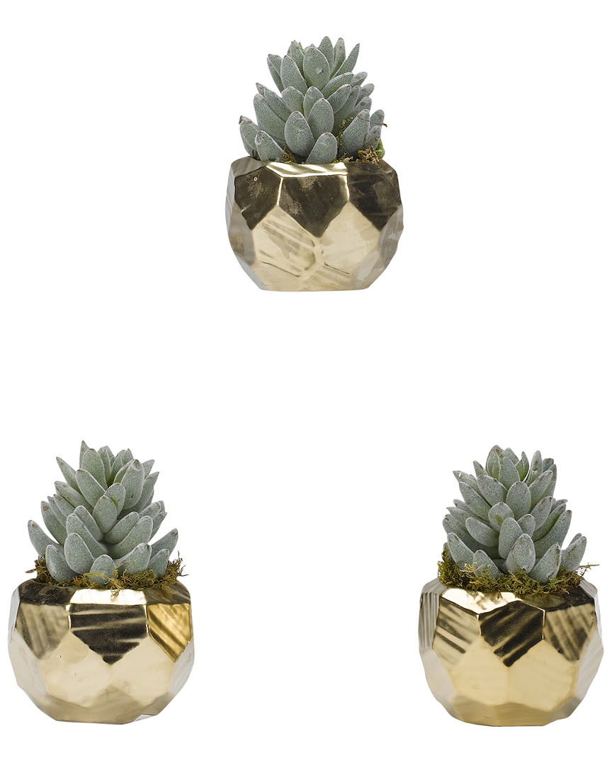 D&w Silks Set Of 3 Flocked Aloe In Antique Gold Ceramic Planters