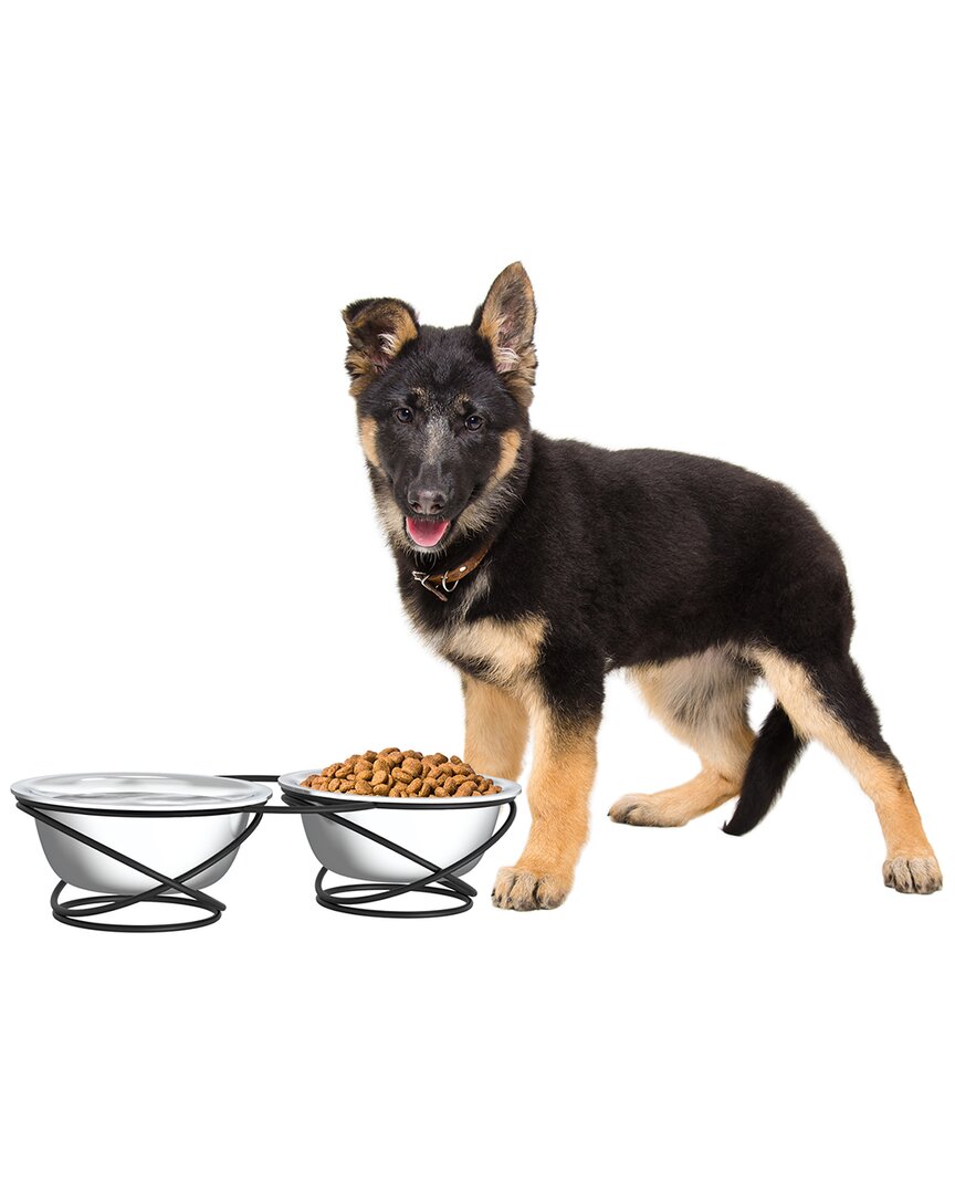Petmaker Stainless Steel Raised Food & Water Bowls In Silver