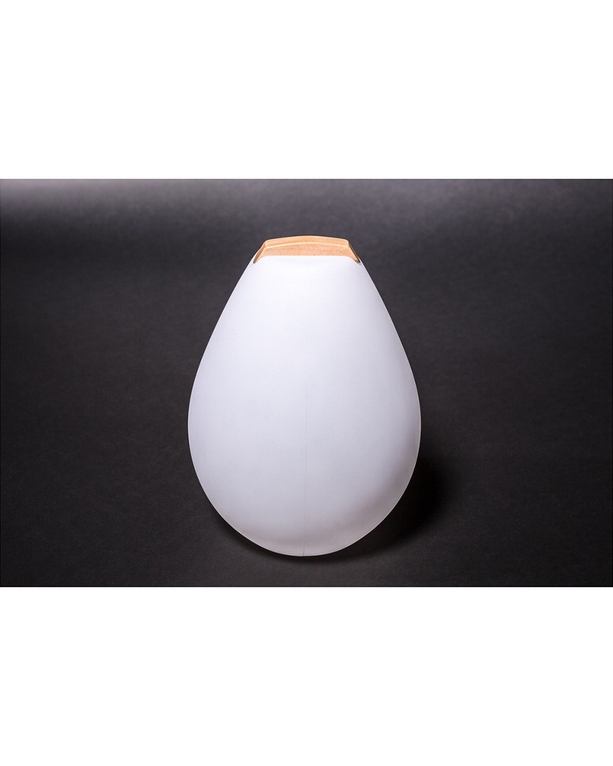 Smart & Green Vessel Bluetooth Indoor/outdoor Led Lamp