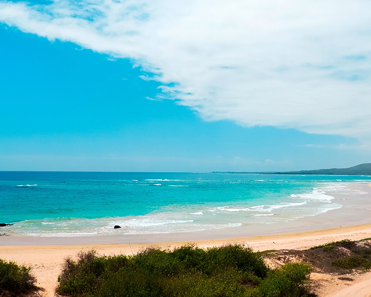 Exoticca Travel: Up to $1,000 Off Amazon & Galapagos Trip
