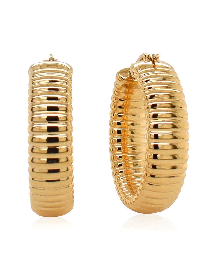 Maxcolor 14k Resin-filled Earrings
